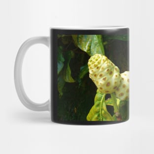 Noni Fruit on a Tree Mug